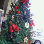071123-xmas_tree