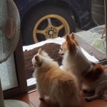 blog-20100928-P9209752