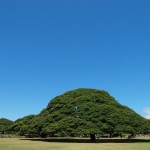 hawaii_1st_day.P9162315