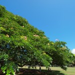 hawaii_1st_day.P9162318