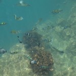 hawaii_1st_day.P9162340