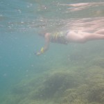 hawaii_2st_day.IMGP0616