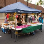 hawaii_2st_day.P9172405