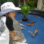 hawaii_3st_day.IMGP0631