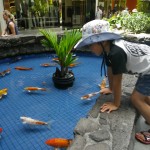 hawaii_3st_day.IMGP0640