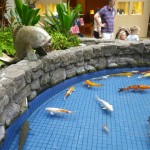 hawaii_3st_day.IMGP0641