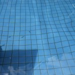 hawaii_3st_day.IMGP0645