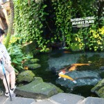 hawaii_3st_day.P9184651