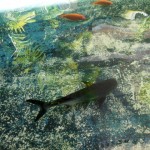 hawaii_3st_day.P9184659