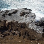 hawaii_5th_day_1st.P9202508