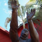 hawaii_5th_day_1st.P9202541