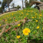 hawaii_5th_day_1st.P9202574