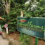 hawaii_5th_day_1st.P9202591