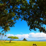 hawaii_5th_day_2nd.P9202612