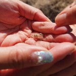 hawaii_5th_day_2nd.P9202638