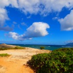 hawaii_5th_day_2nd.P9202666