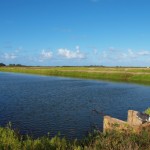 hawaii_5th_day_2nd.P9202682