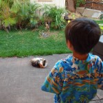 hawaii_5th_day_2nd.P9202734