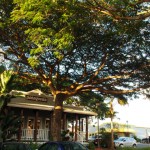 hawaii_5th_day_2nd.P9202742