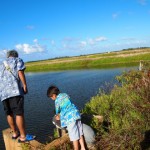 hawaii_5th_day_2nd.P9204746