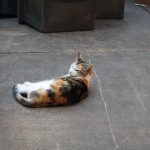 hawaii_5th_day_2nd.P9204768