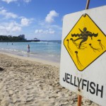 hawaii_6st_day.IMGP0806