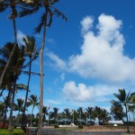 hawaii_6st_day.P9212825