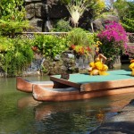 hawaii_6st_day.P9212874