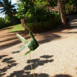 hawaii_6st_day.P9212929