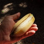 hawaii_6st_day.P9212939