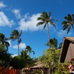 hawaii_6st_day.P9212956