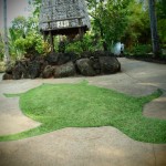 hawaii_6st_day.P9213014