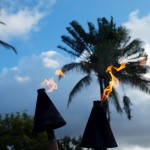 hawaii_6st_day.P9213022