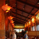 hawaii_6st_day.P9213029