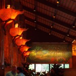 hawaii_6st_day.P9213030