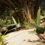 hawaii_6st_day.P9214817