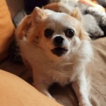 blog-20120214-P1284439