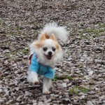 blog-20120731-P6106064