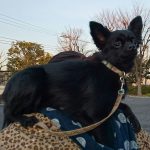 書き込みテスト2